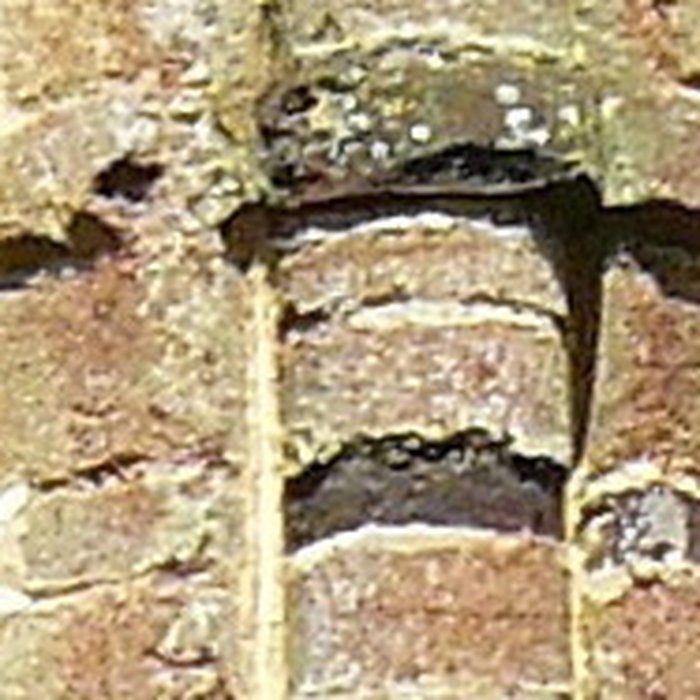 Photo de Abbaye Notre-Dame du Nid-au-Merle