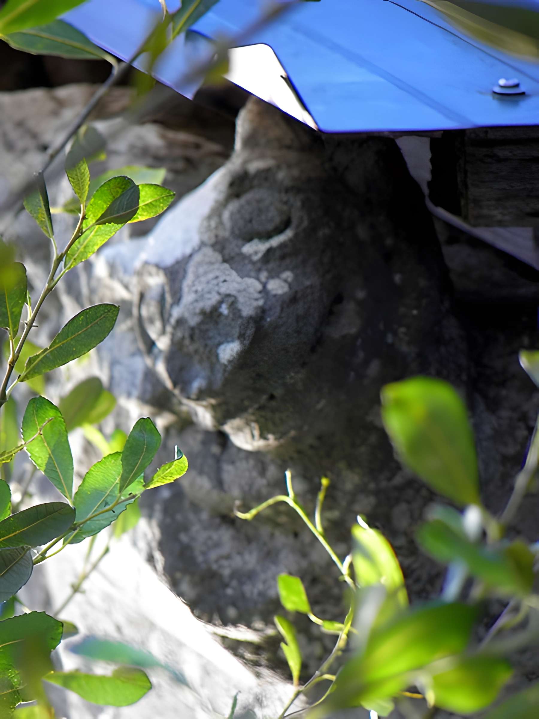 Abbaye Notre-Dame du Nid-au-Merle