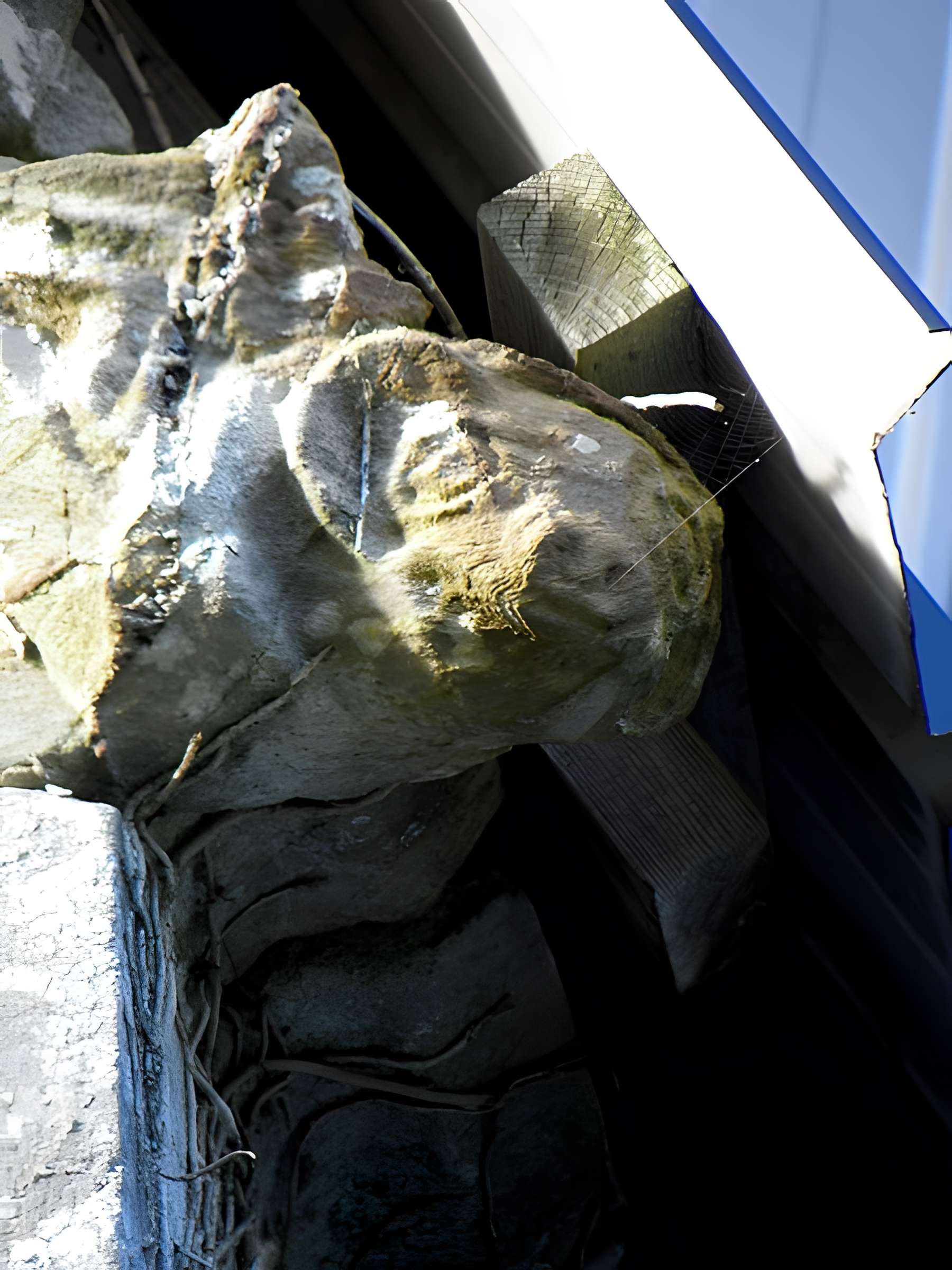 Abbaye Notre-Dame du Nid-au-Merle