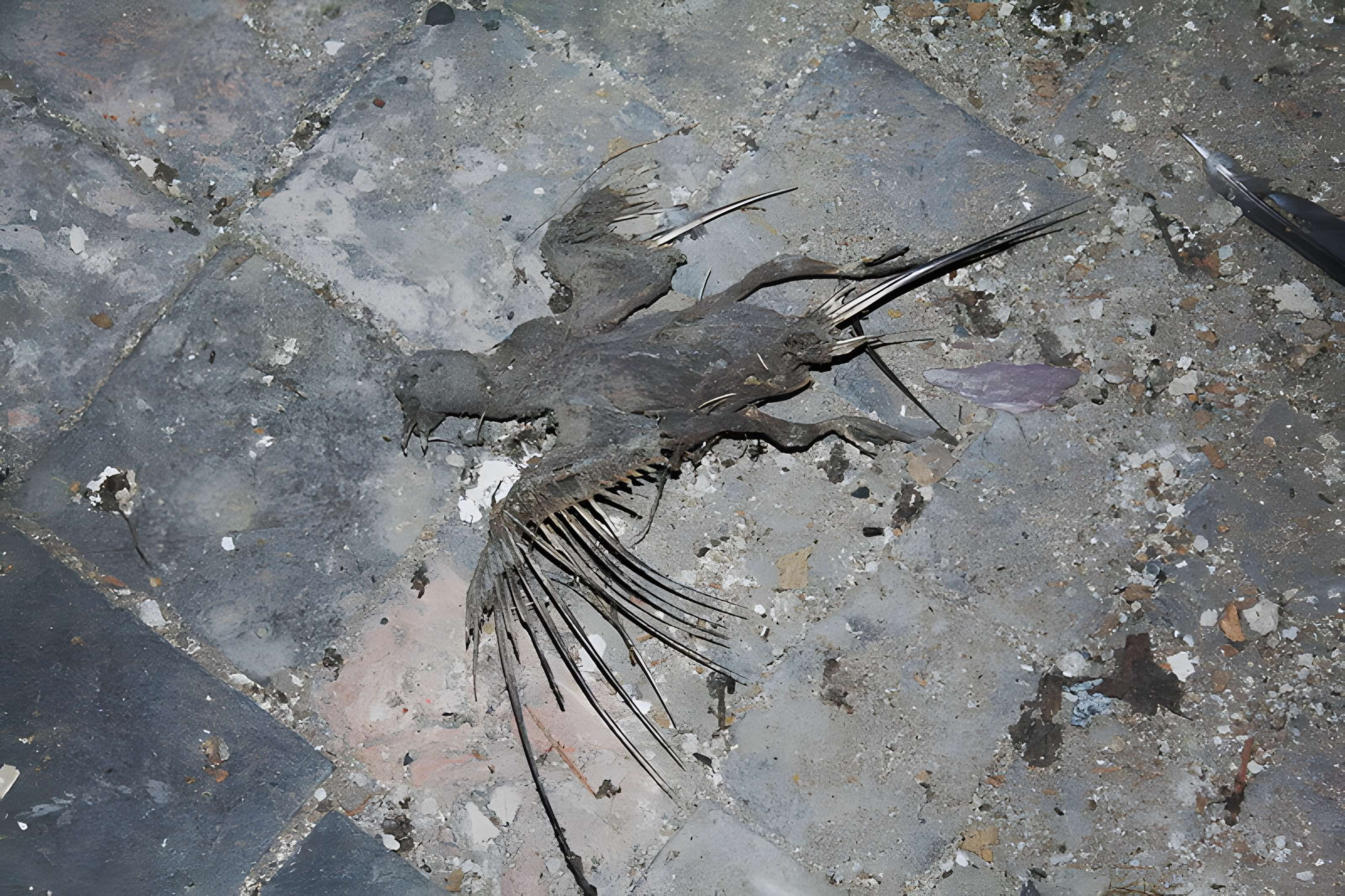 Église Saint-Germain de Rennes