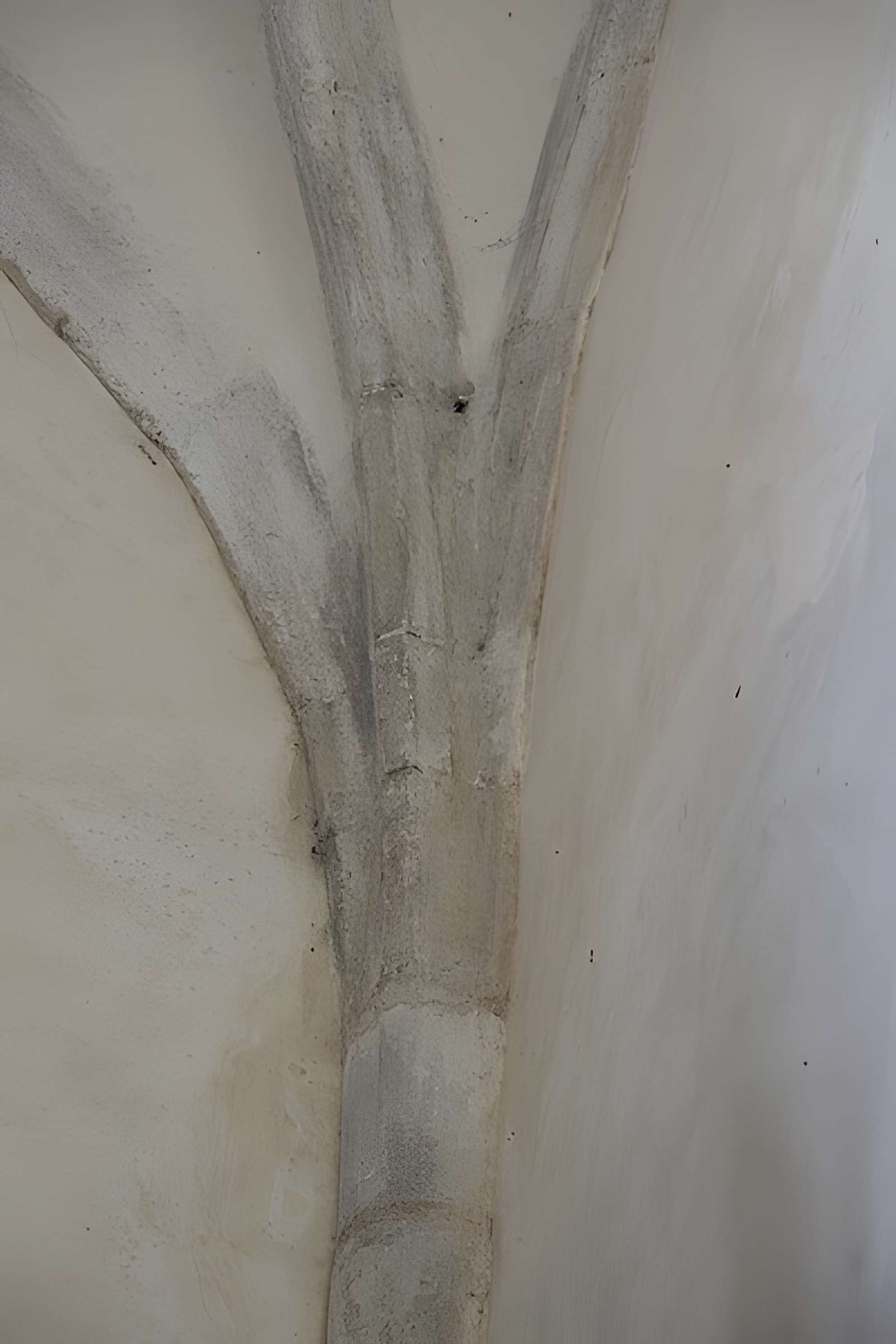 Église Saint-Goussaud de Saint-Goussaud