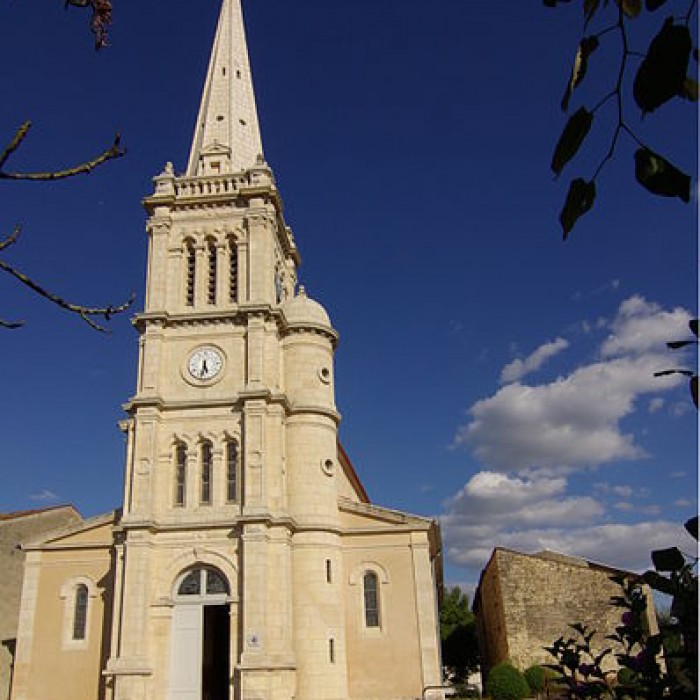 Photo de Église Saint-Guy de Damvix