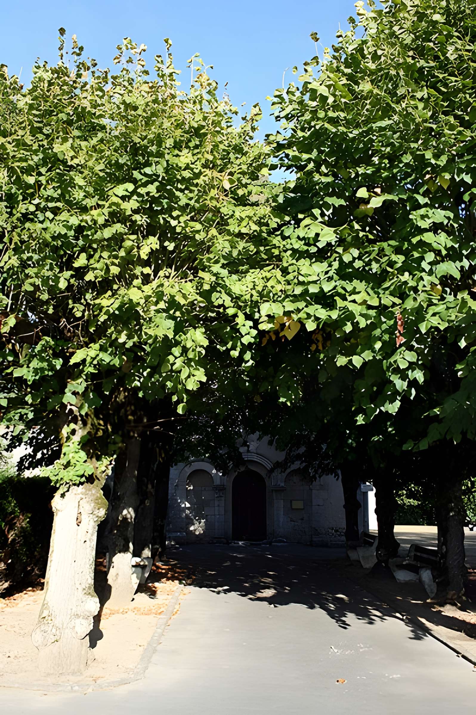 Église Saint-Hilaire de Salles-en-Toulon