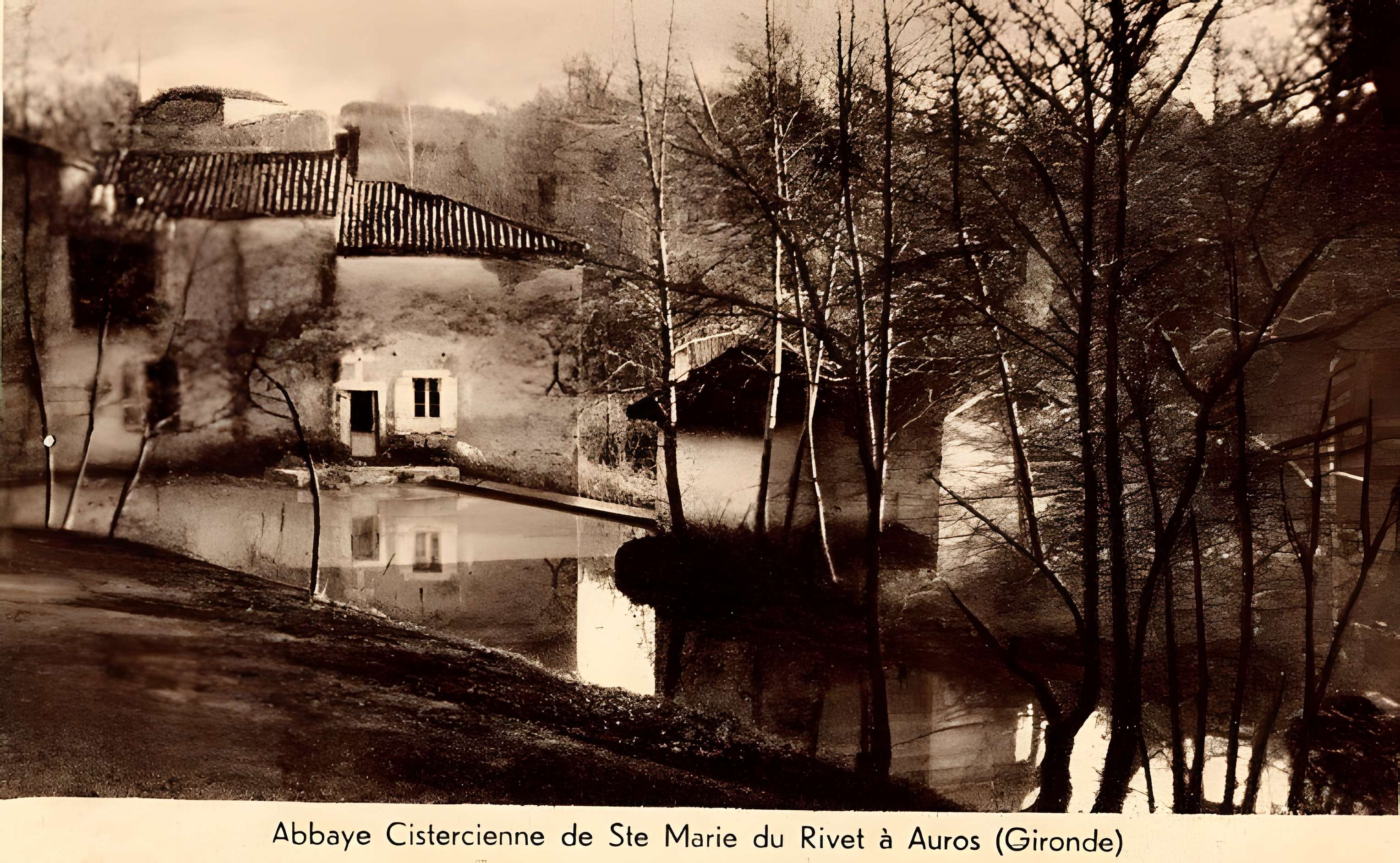 Abbaye sainte marie du rivet