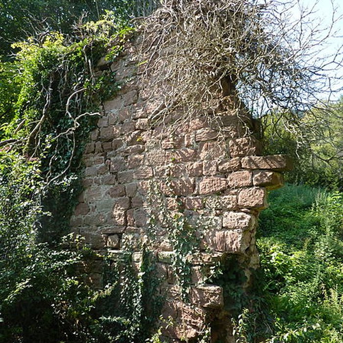 Photo de Abbaye Sainte-Marie de Niedermunster