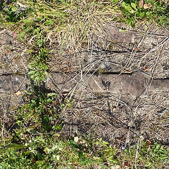 Photo de Abbaye Sainte-Marie de Niedermunster