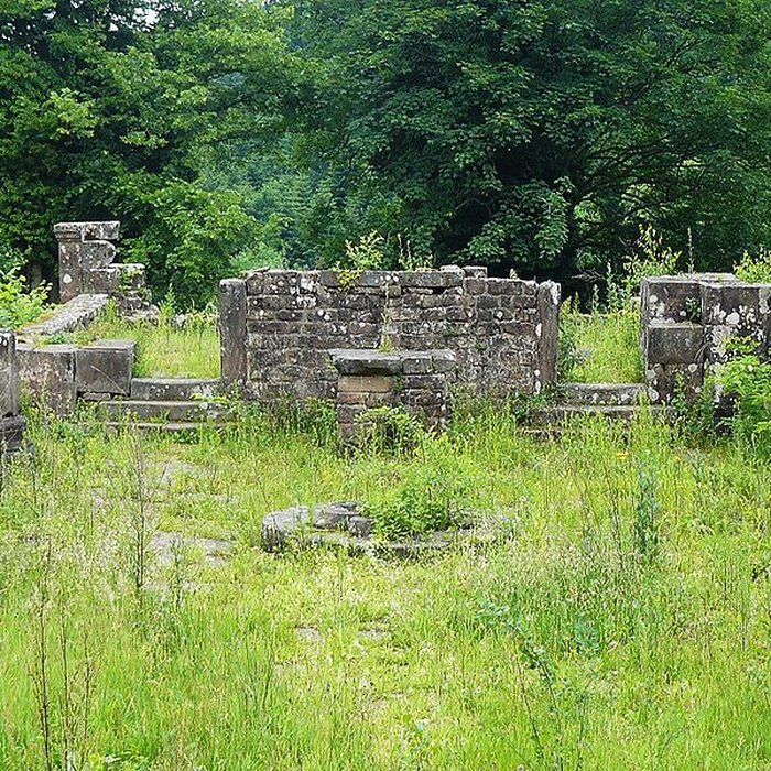 Photo de Abbaye Sainte-Marie de Niedermunster