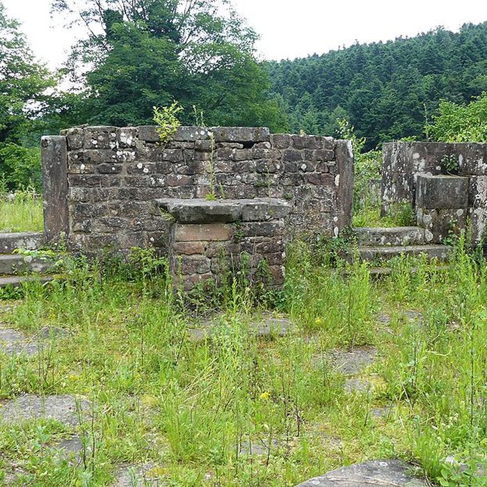 Photo de Abbaye Sainte-Marie de Niedermunster