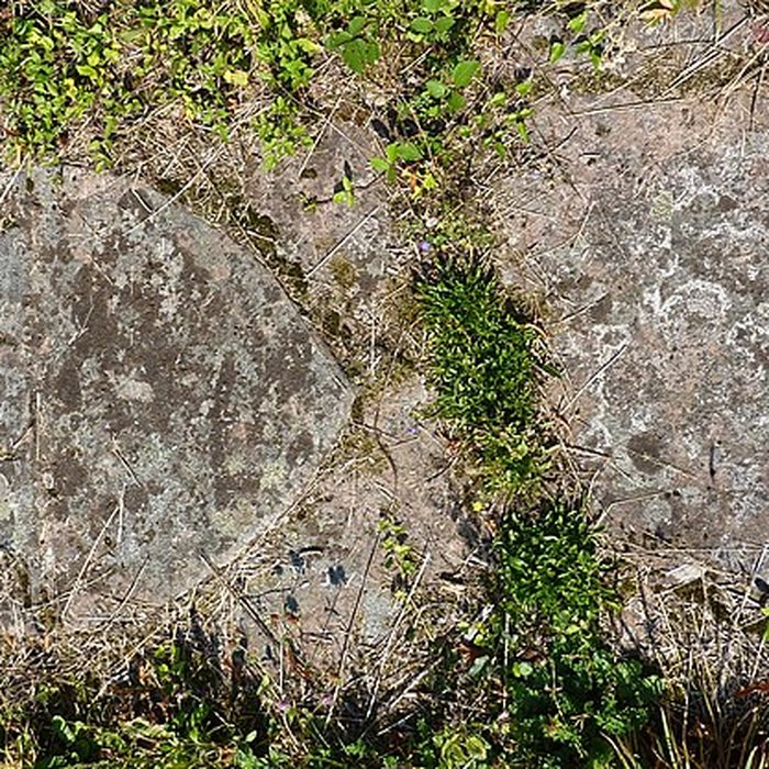 Photo de Abbaye Sainte-Marie de Niedermunster