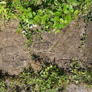 Abbaye Sainte-Marie de Niedermunster