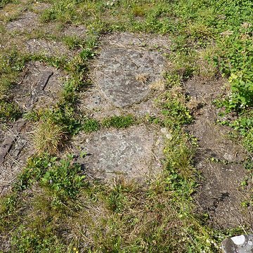 Abbaye Sainte-Marie de Niedermunster