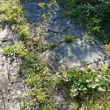Abbaye Sainte-Marie de Niedermunster