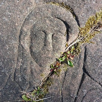 Abbaye Sainte-Marie de Niedermunster