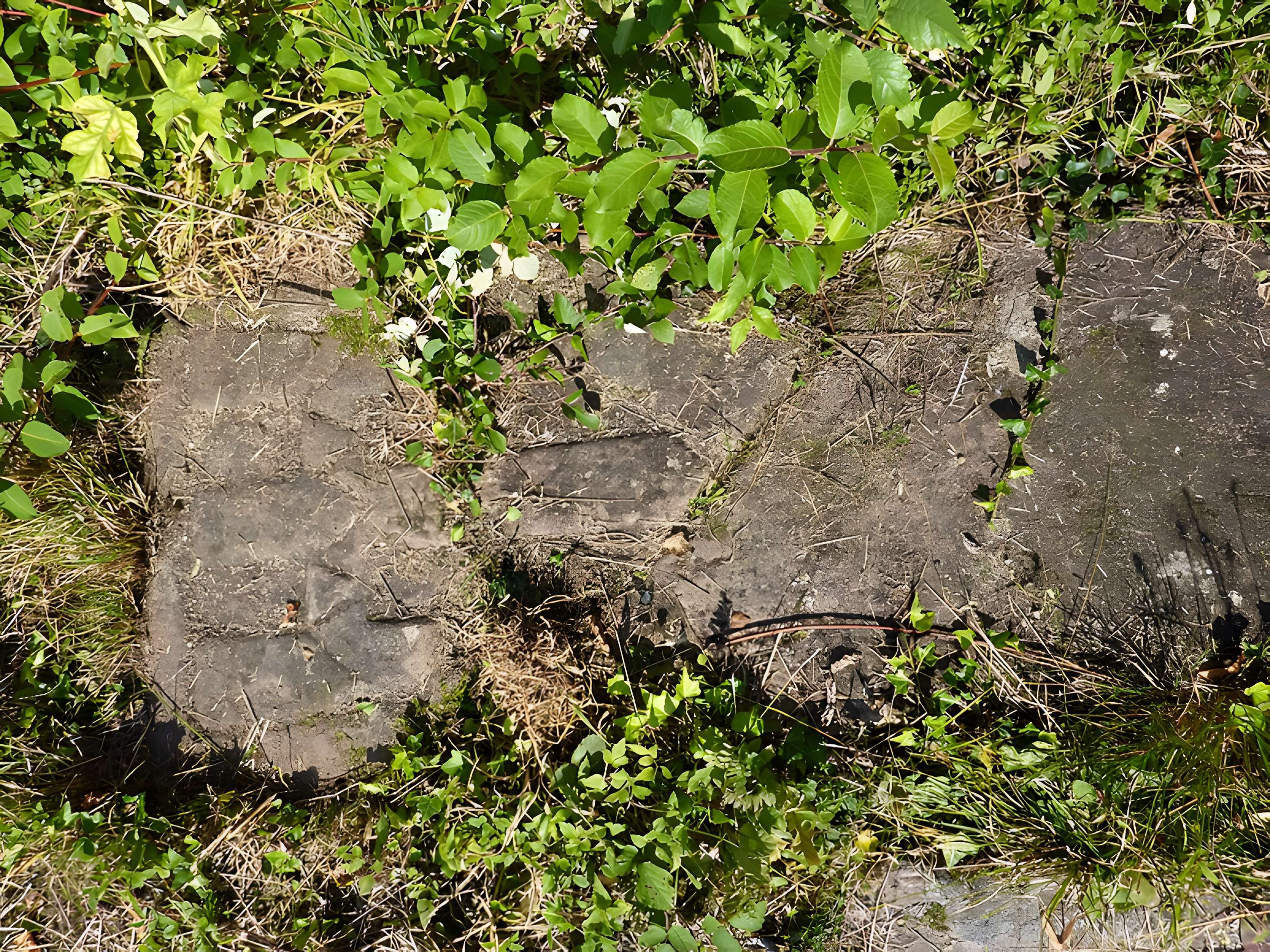 Abbaye Sainte-Marie de Niedermunster