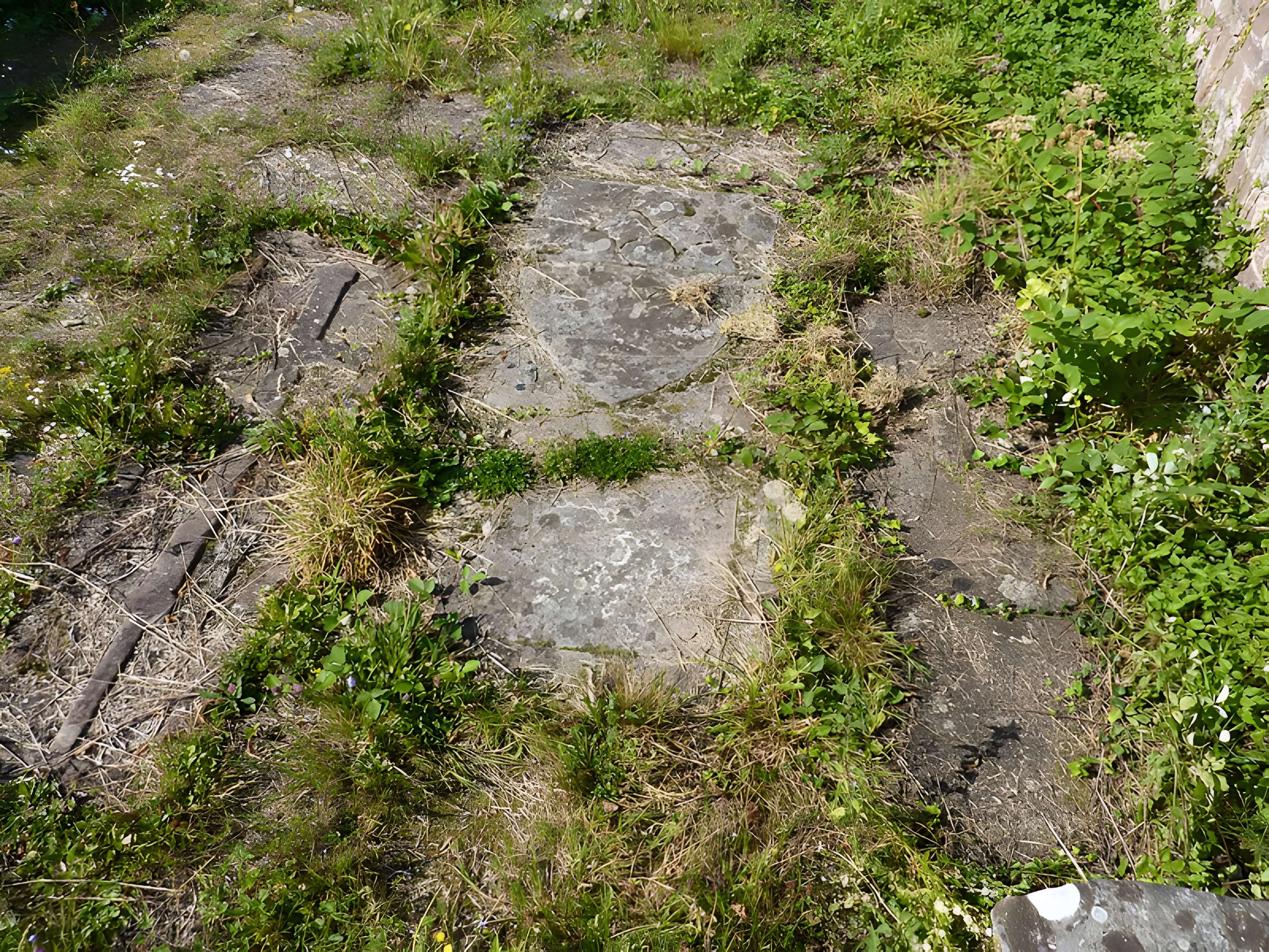 Abbaye Sainte-Marie de Niedermunster