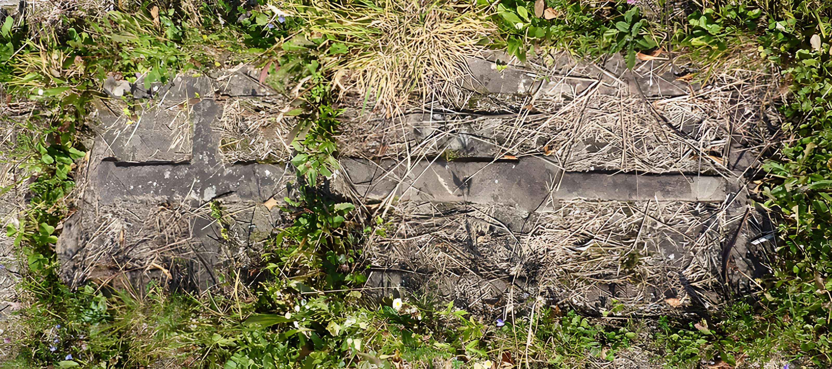 Abbaye Sainte-Marie de Niedermunster