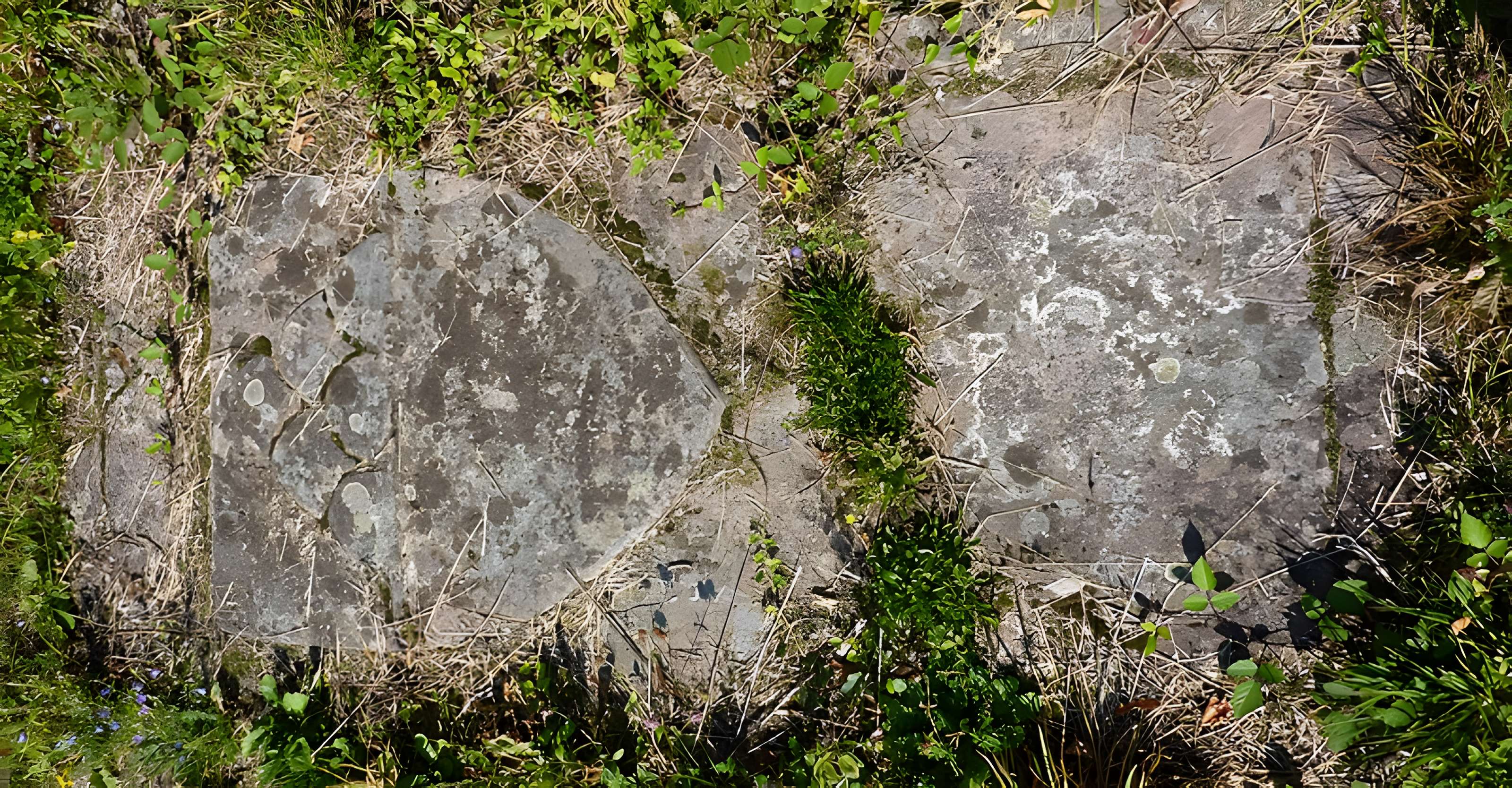 Abbaye Sainte-Marie de Niedermunster