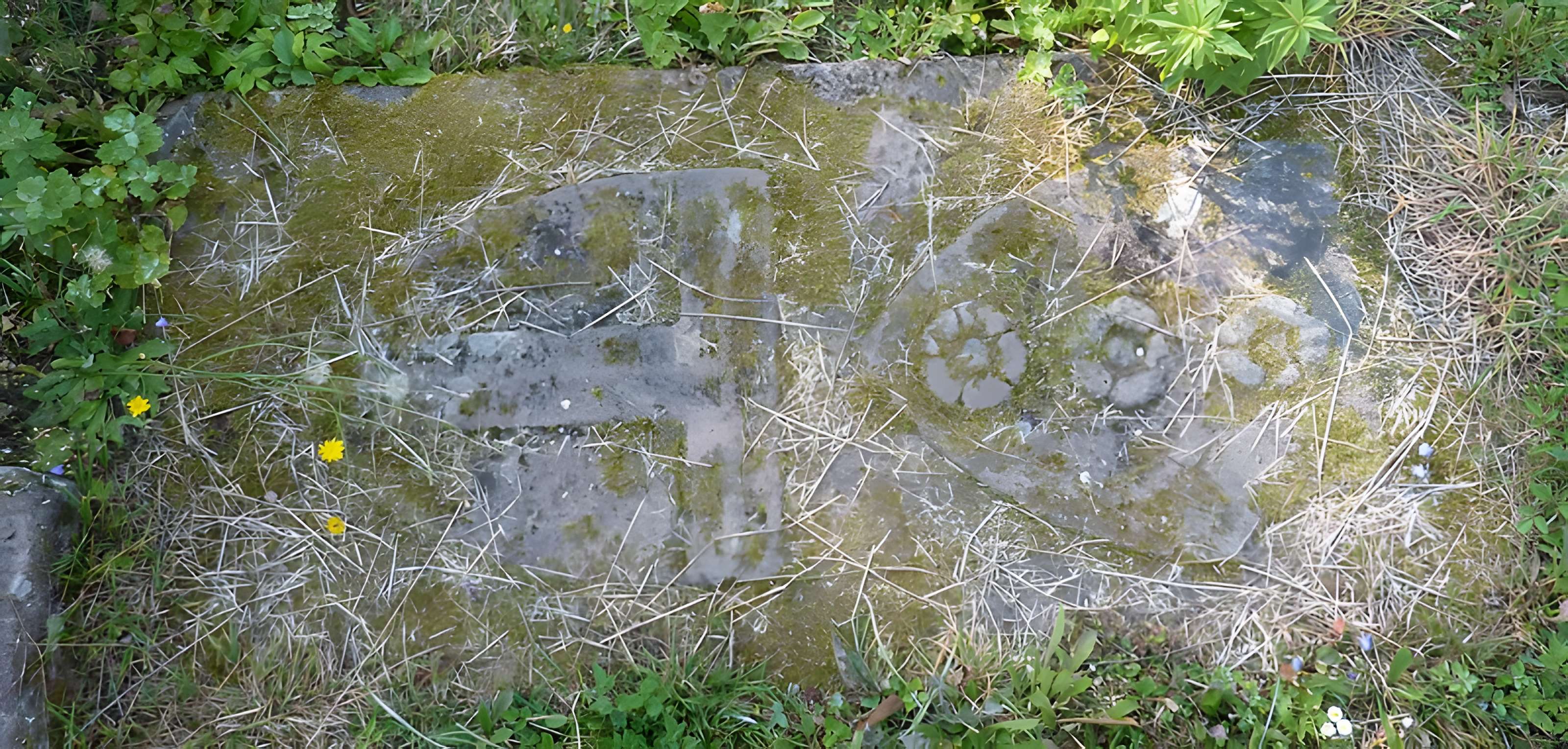 Abbaye Sainte-Marie de Niedermunster