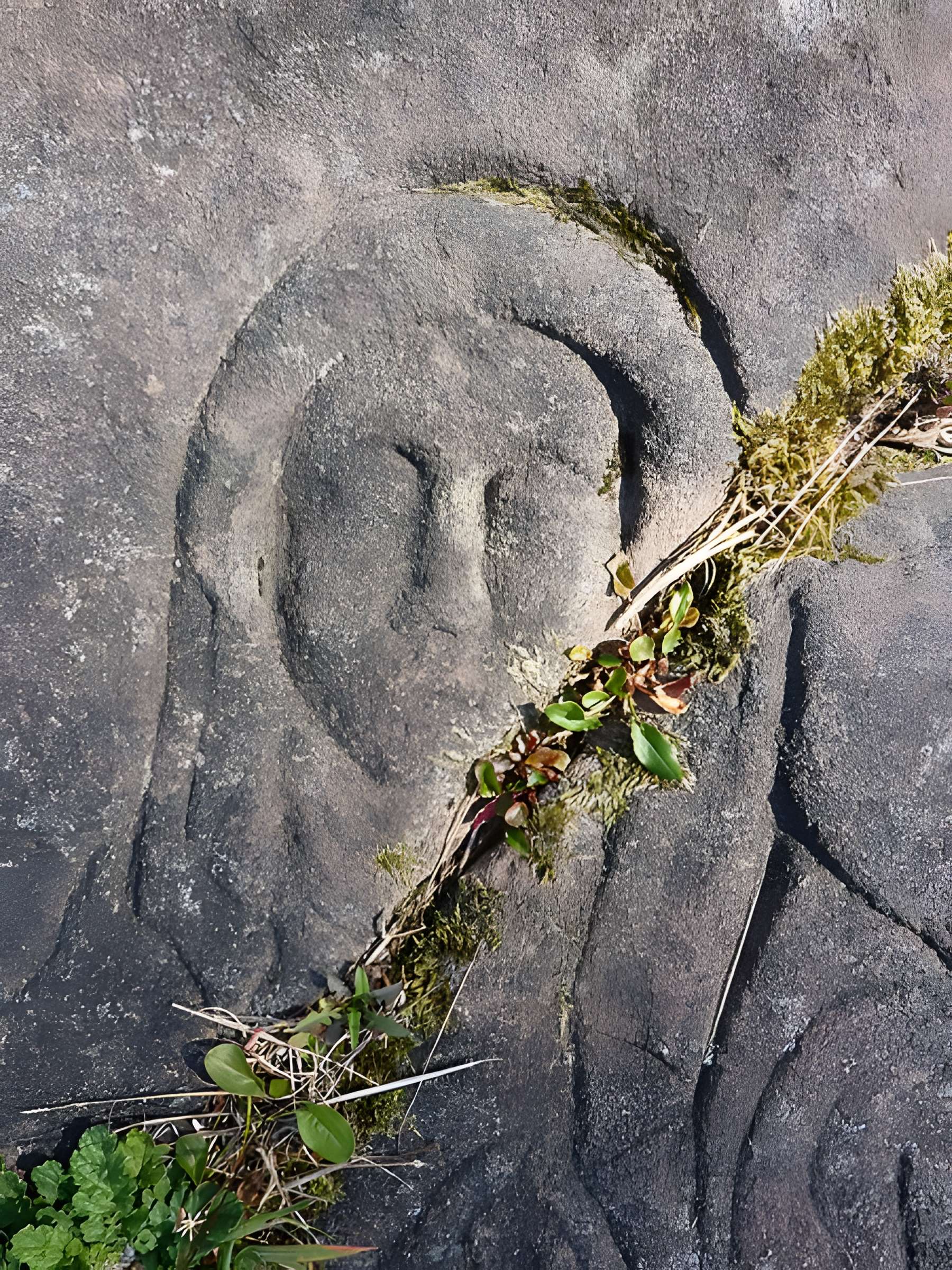 Abbaye Sainte-Marie de Niedermunster