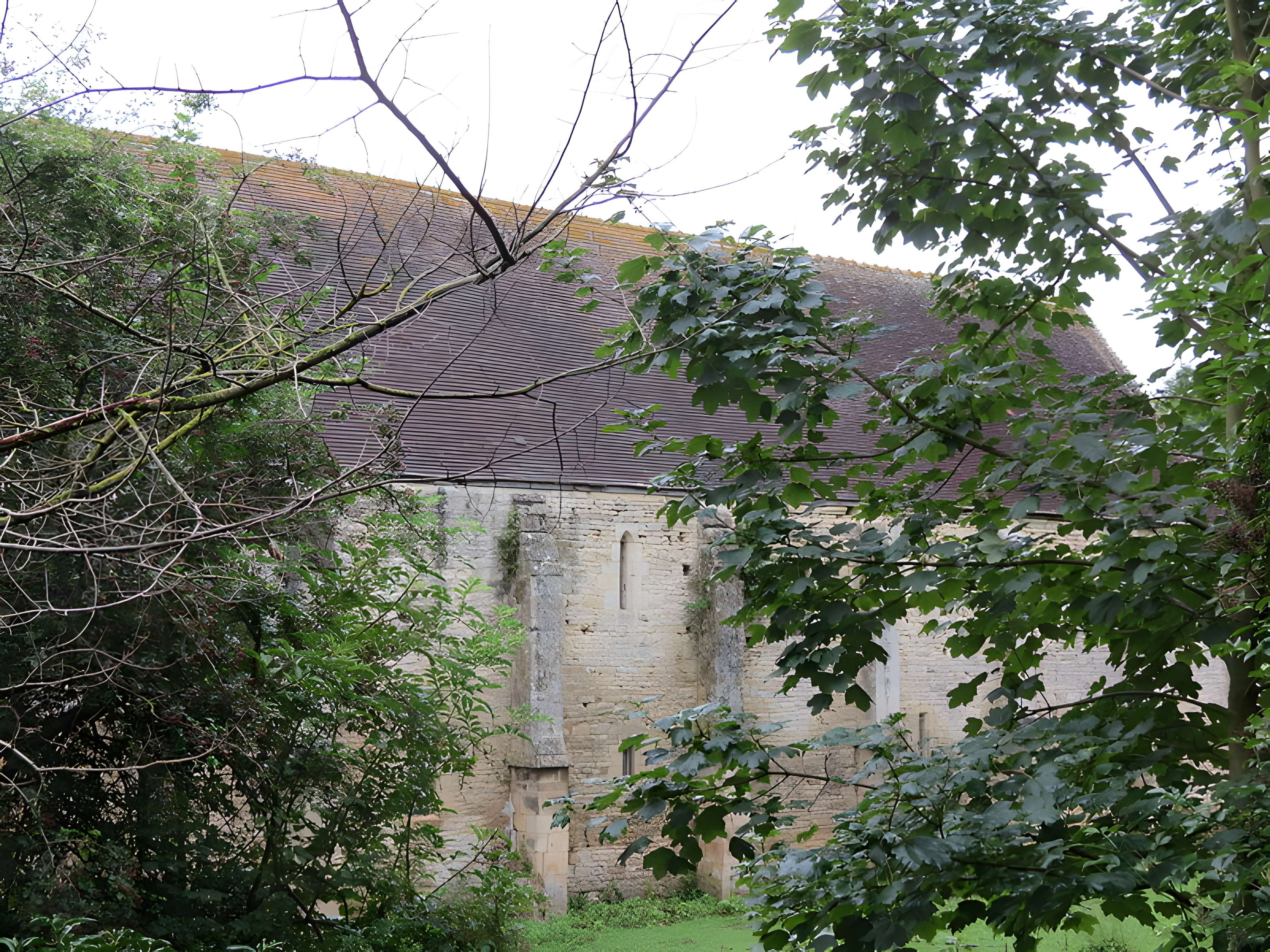 Abbaye Saint-Étienne de Fontenay