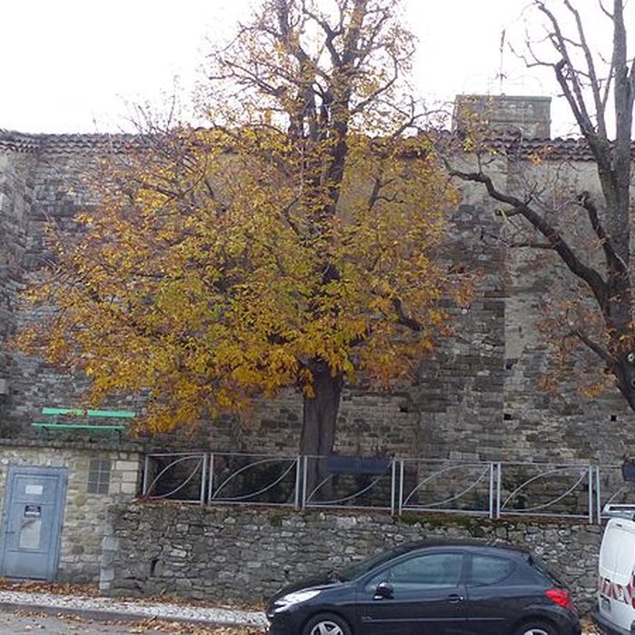 Photo de Église Saint-Jean-Baptiste de Charols