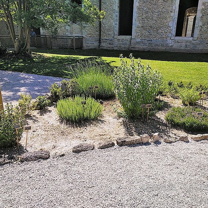 Photo de Abbaye Saint-Jean de Sorde