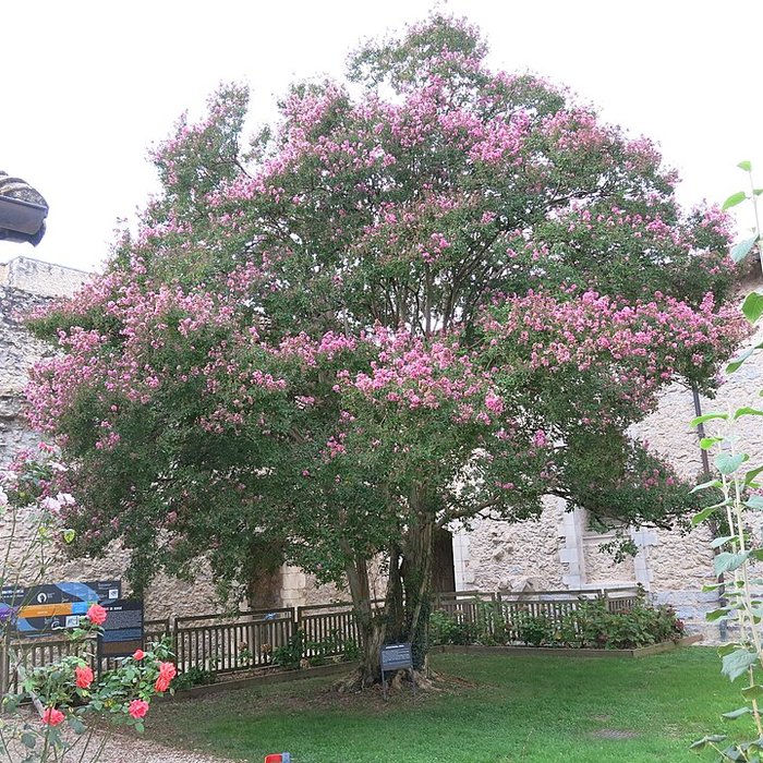 Photo de Abbaye Saint-Jean de Sorde