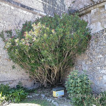 Abbaye Saint-Jean de Sorde