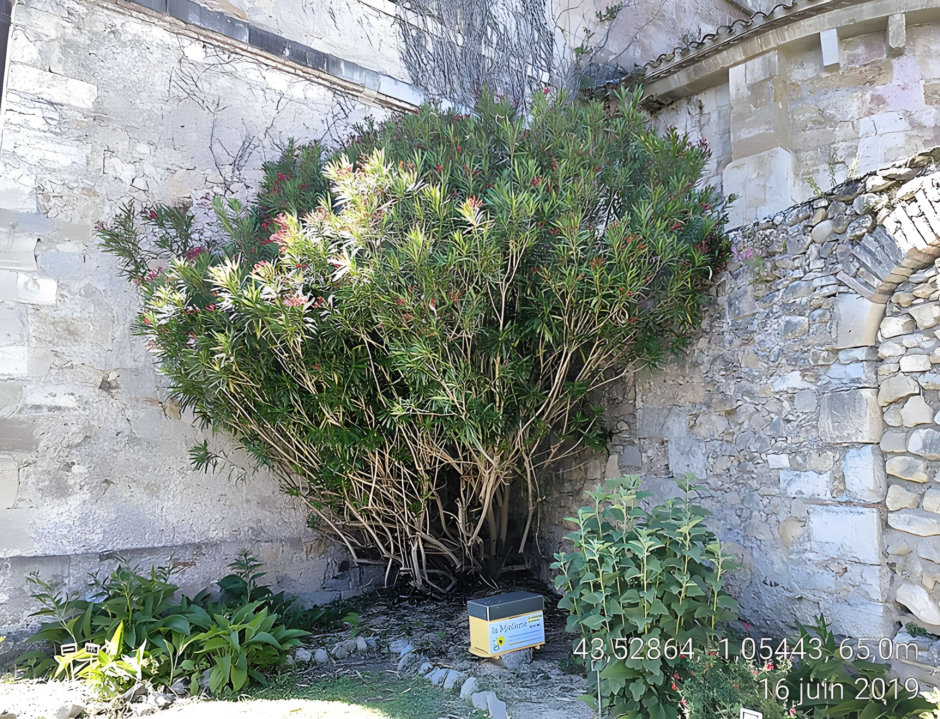 Abbaye Saint-Jean de Sorde