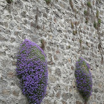 Église Saint-Jean-Baptiste de Saint-Vert