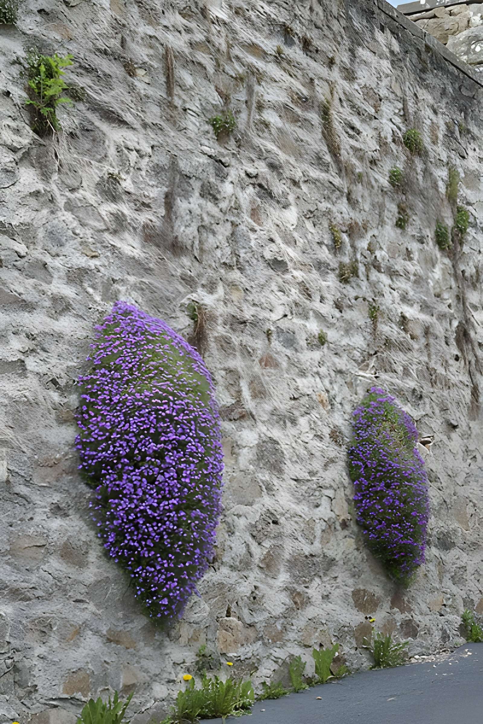 Église Saint-Jean-Baptiste de Saint-Vert