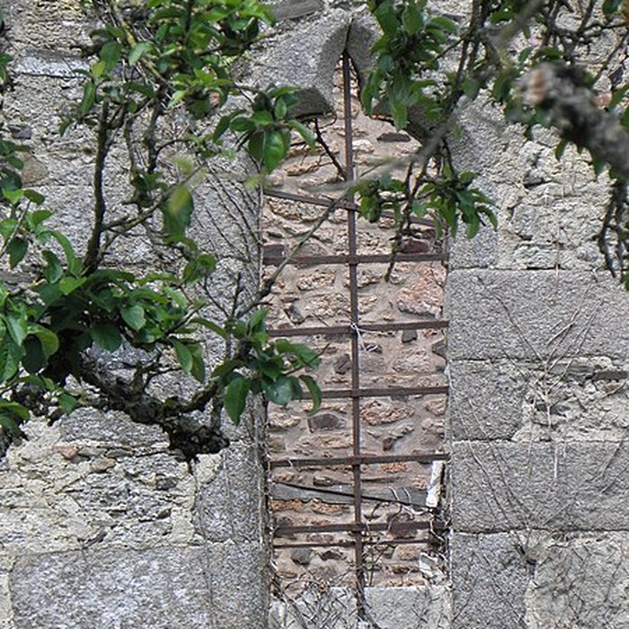 Photo de Église Saint-Judoce de Saint-Judoce