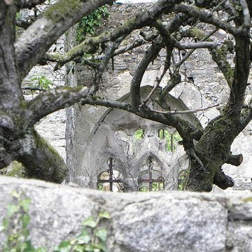 Église Saint-Judoce de Saint-Judoce