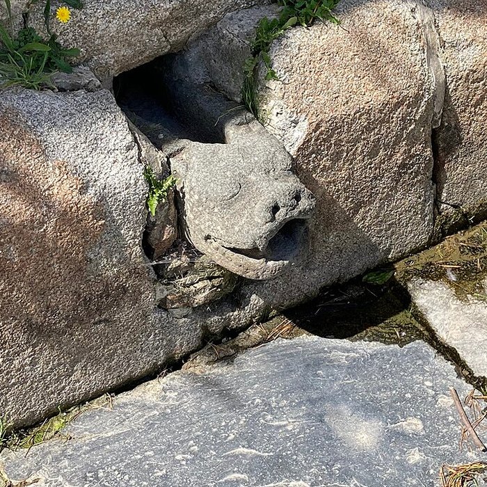 Photo de Basilique Notre-Dame du Folgoët