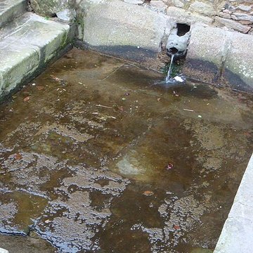 Basilique Notre-Dame du Folgoët