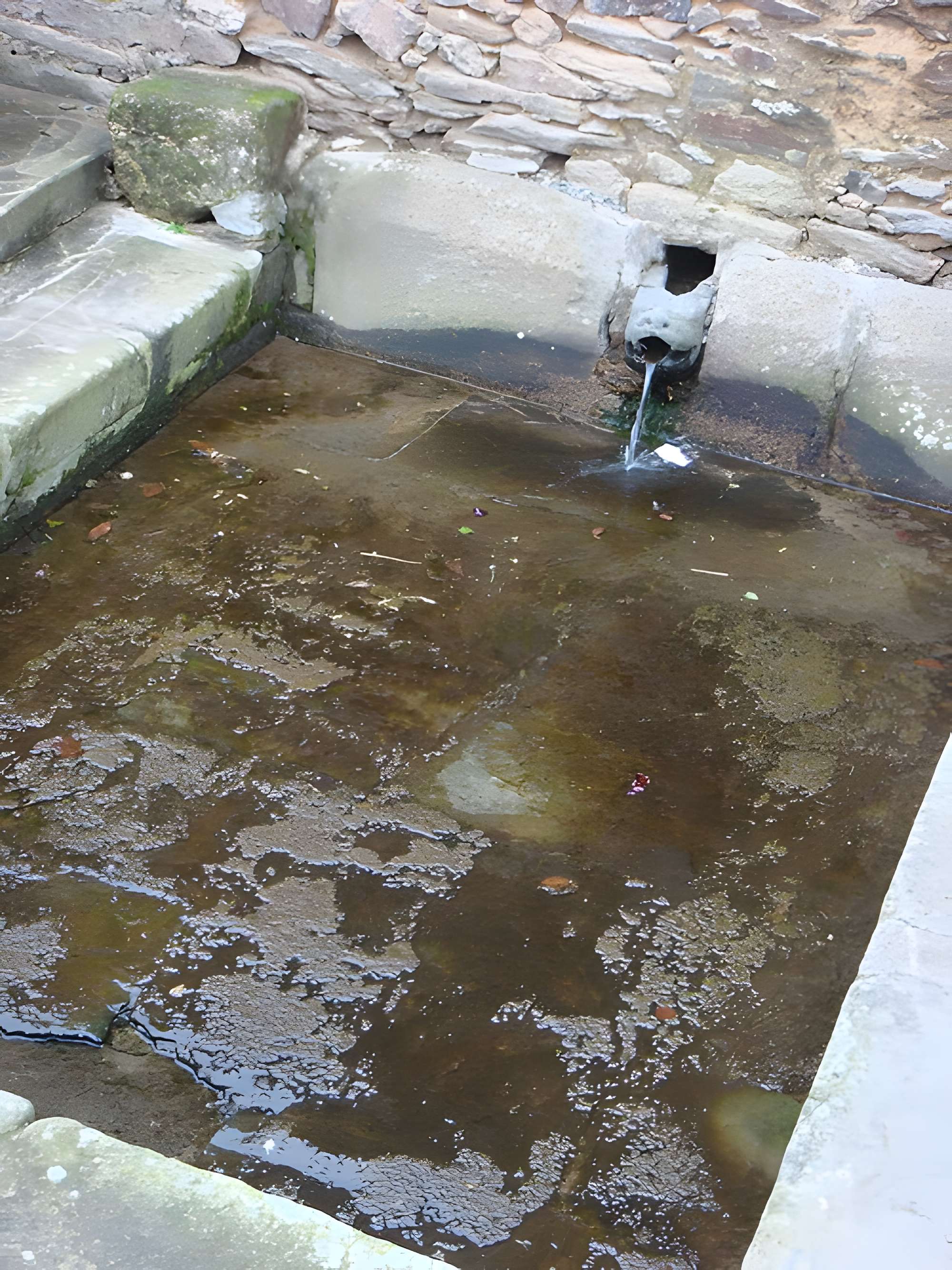 Basilique Notre-Dame du Folgoët