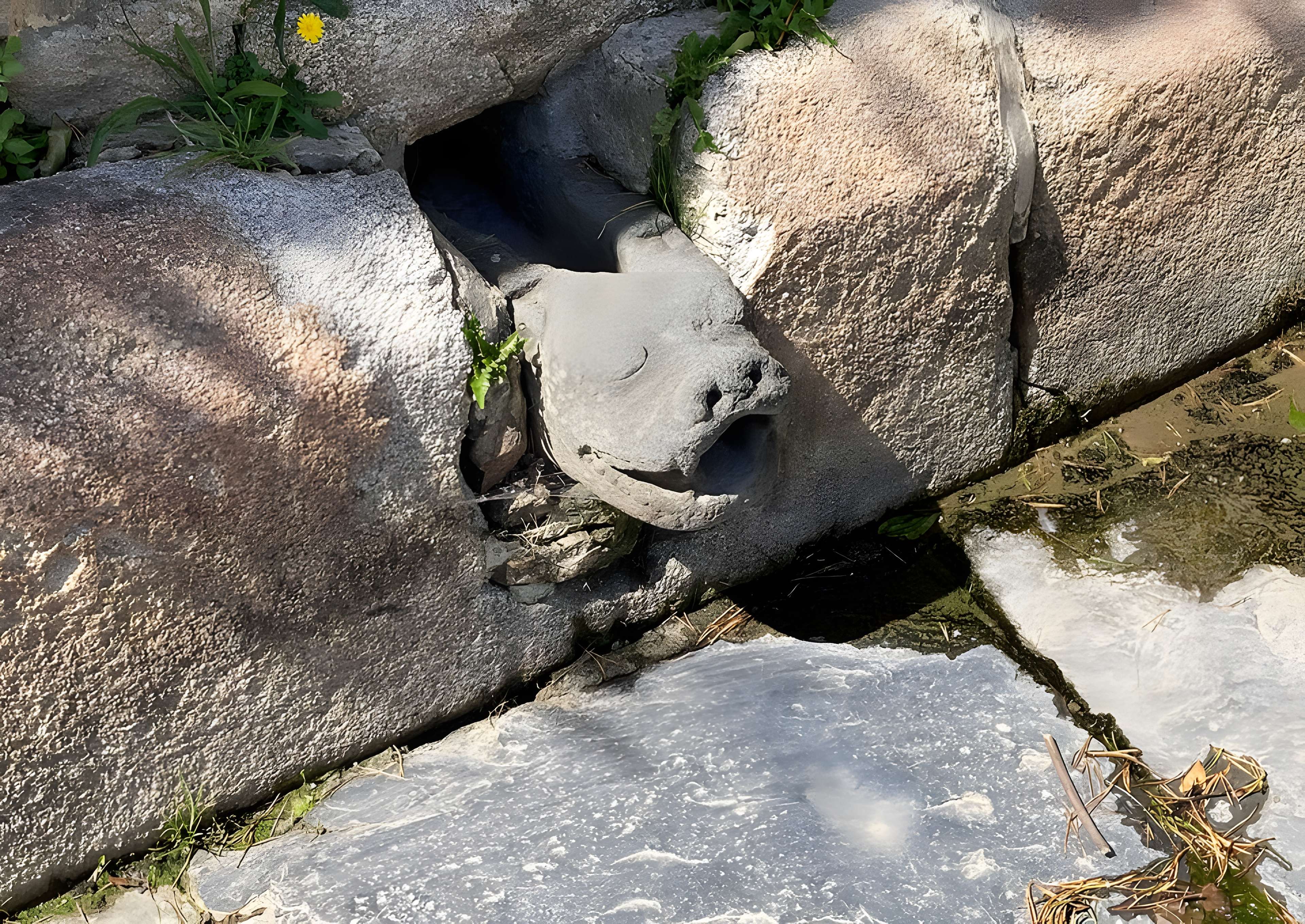 Basilique Notre-Dame du Folgoët