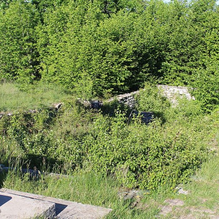 Photo de Ruines de léglise Saint-Julien-sur-Roche à Ramasse