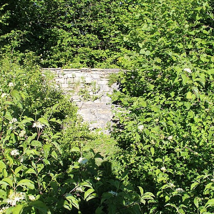 Photo de Ruines de léglise Saint-Julien-sur-Roche à Ramasse