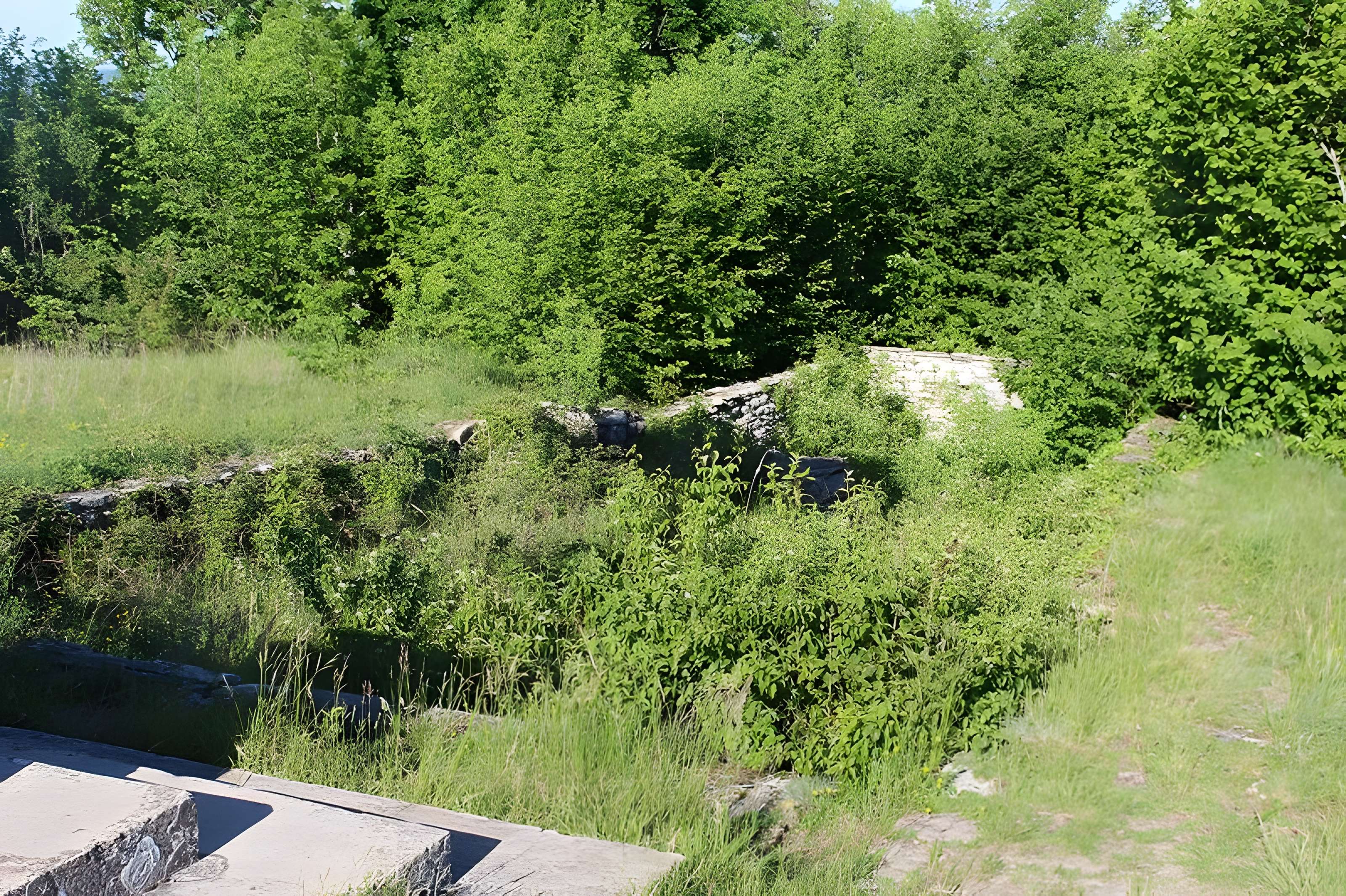 Ruines de l'église Saint-Julien-sur-Roche à Ramasse 