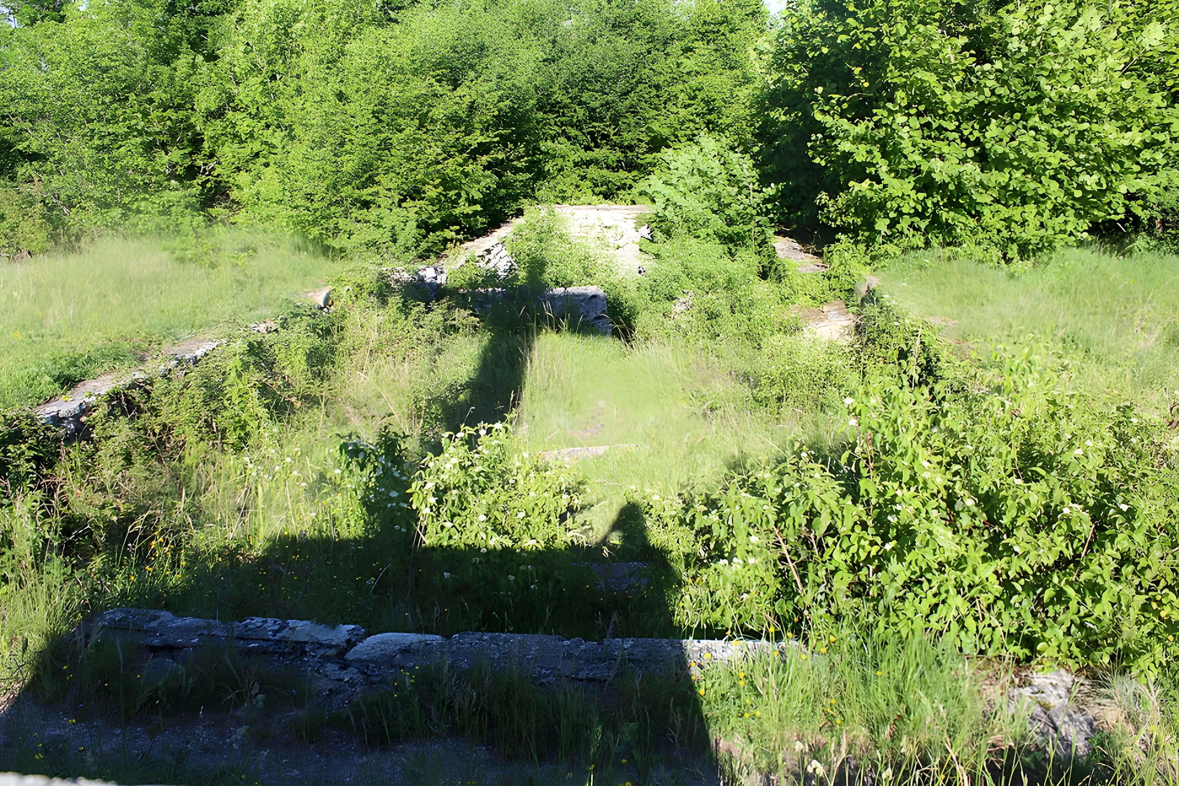 Ruines de l'église Saint-Julien-sur-Roche à Ramasse