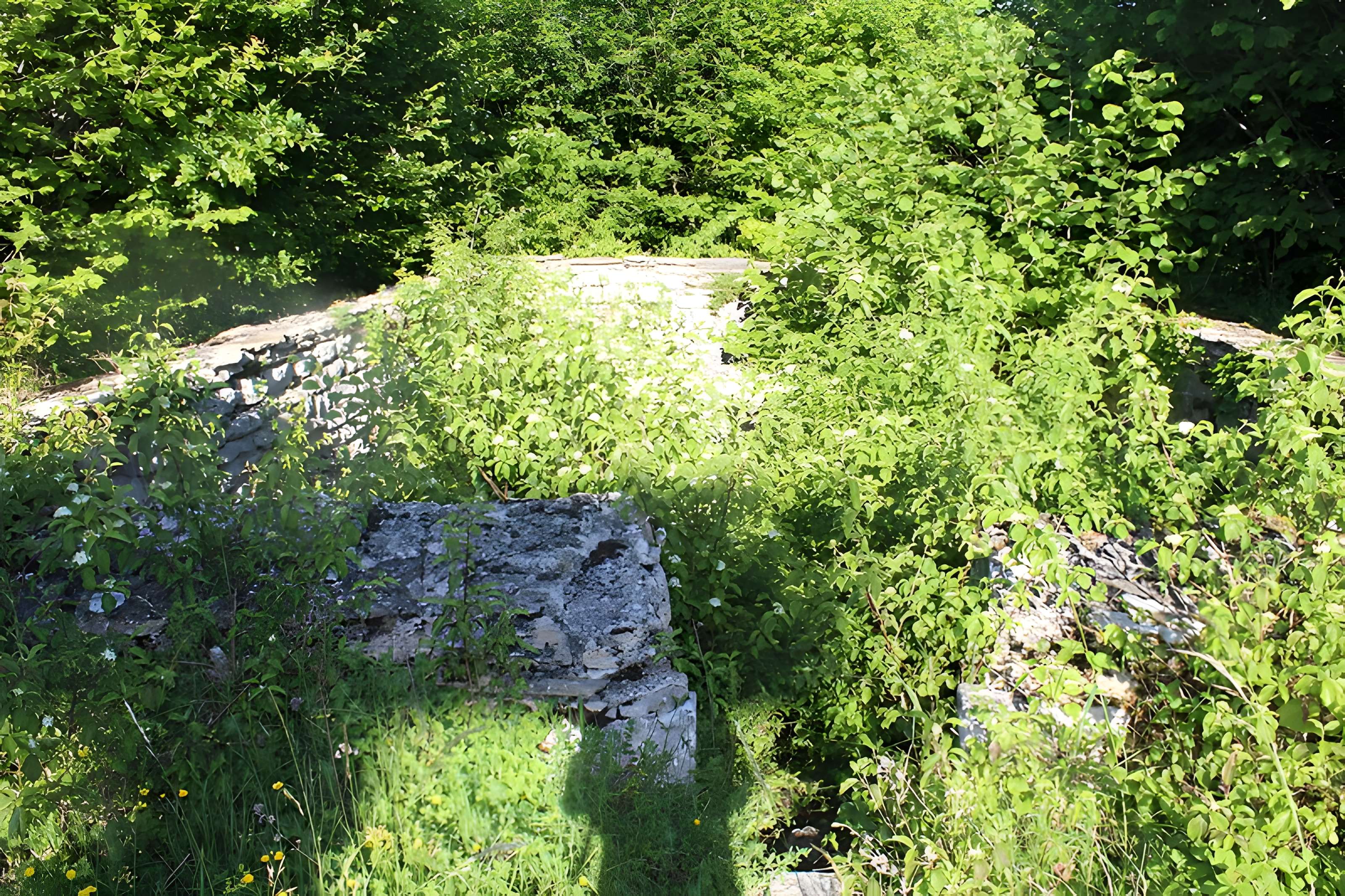 Ruines de l'église Saint-Julien-sur-Roche à Ramasse