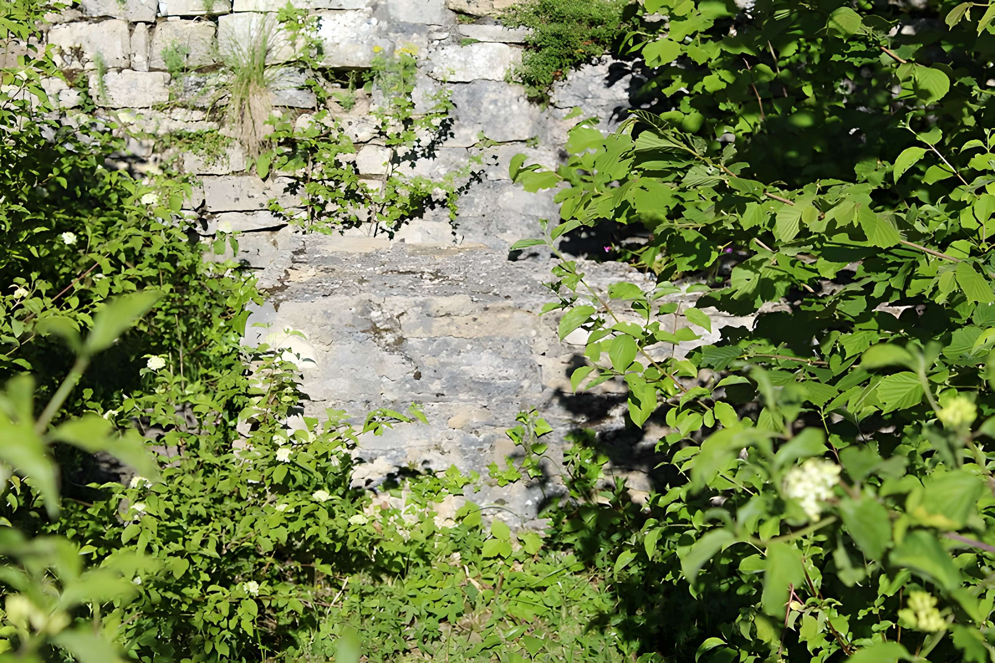 Ruines de l'église Saint-Julien-sur-Roche à Ramasse