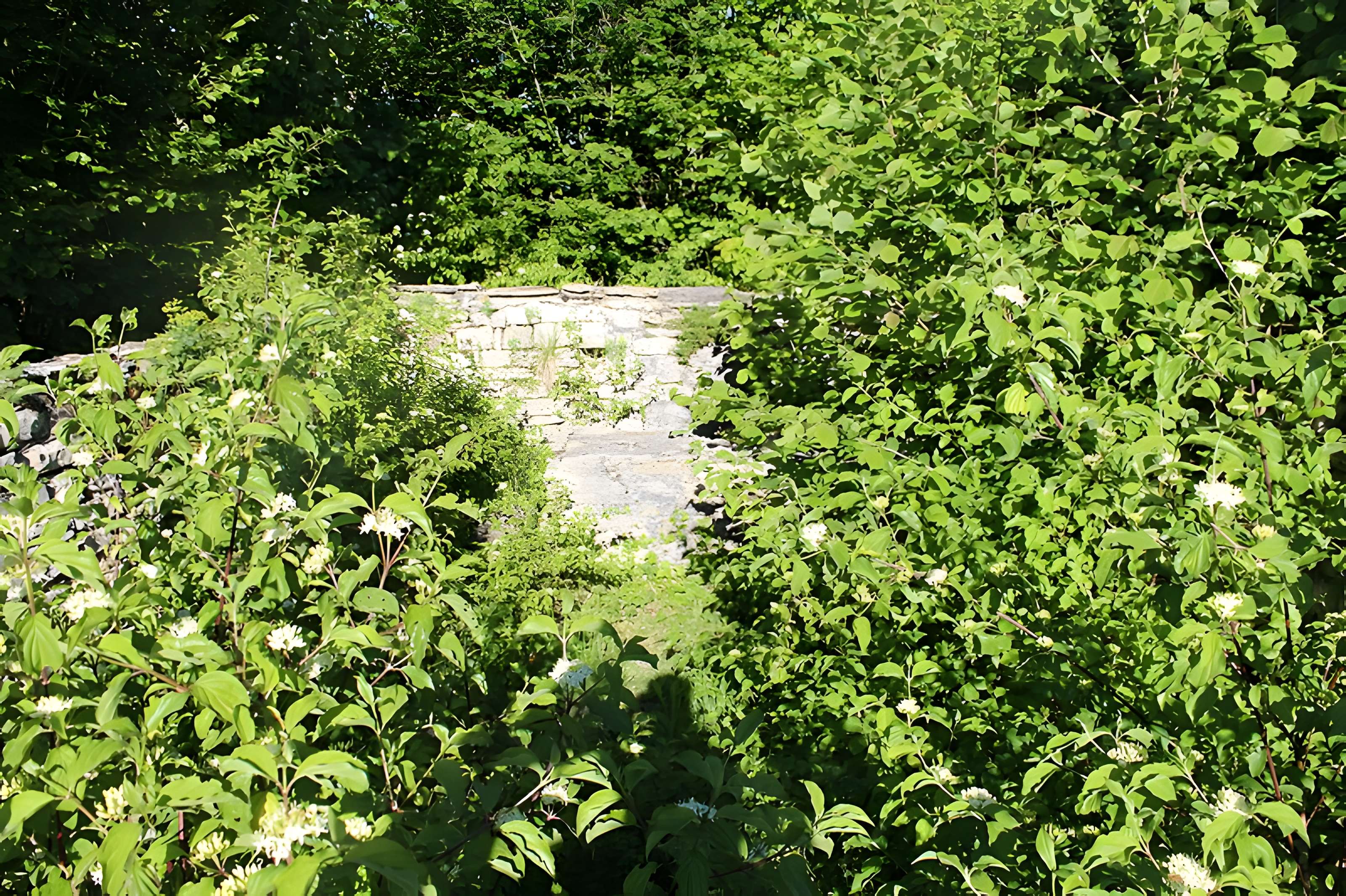 Ruines de l'église Saint-Julien-sur-Roche à Ramasse