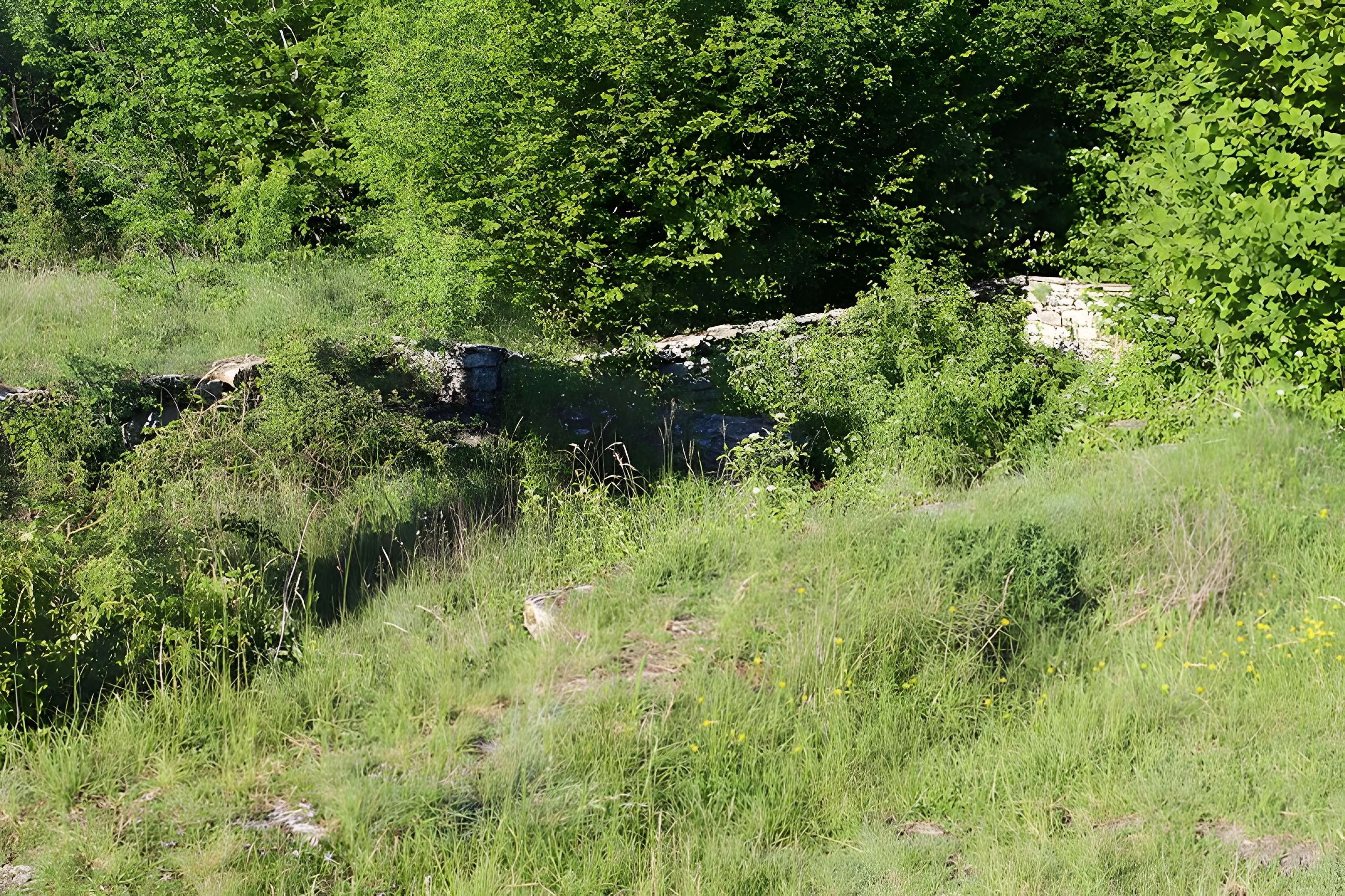 Ruines de l'église Saint-Julien-sur-Roche à Ramasse