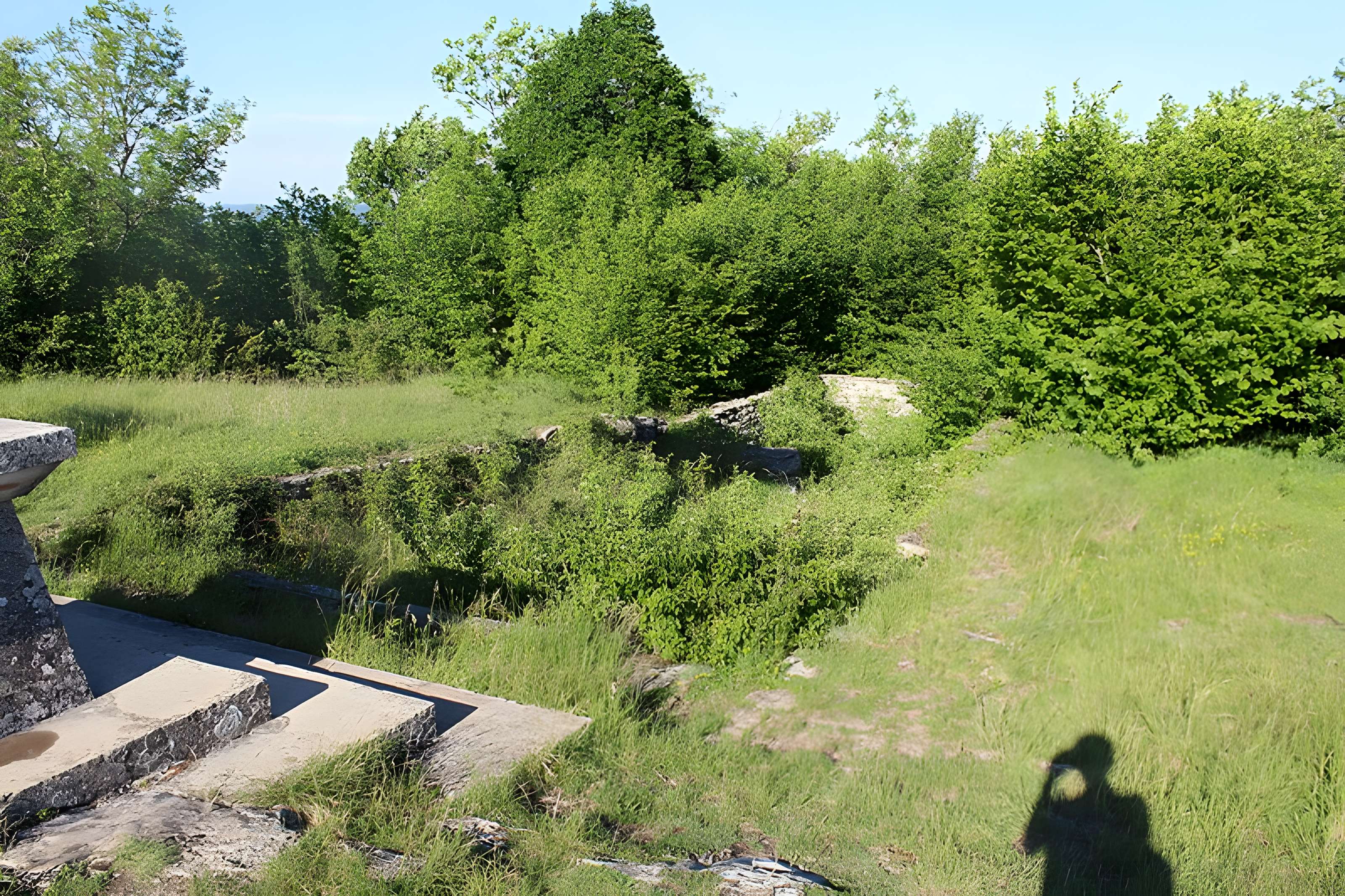 Ruines de l'église Saint-Julien-sur-Roche à Ramasse