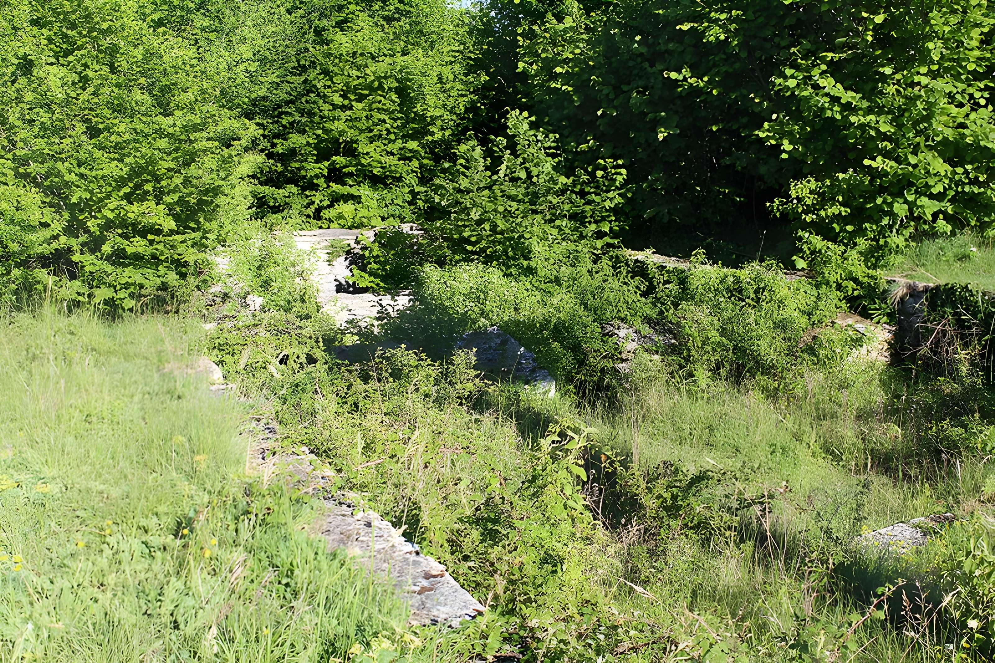 Ruines de l'église Saint-Julien-sur-Roche à Ramasse