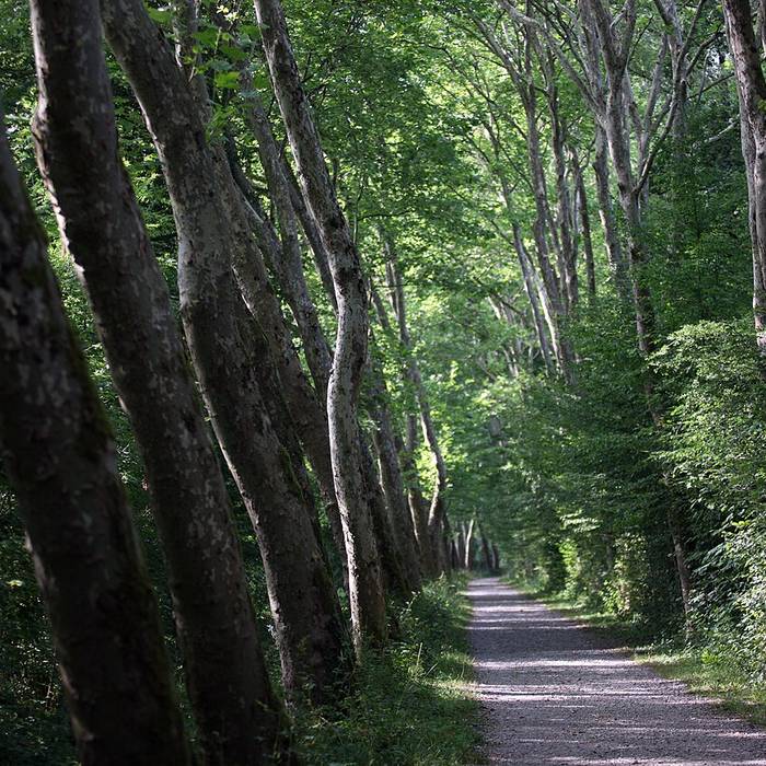 Photo de Église Saint-Lambert de Liessies