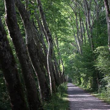 Église Saint-Lambert de Liessies