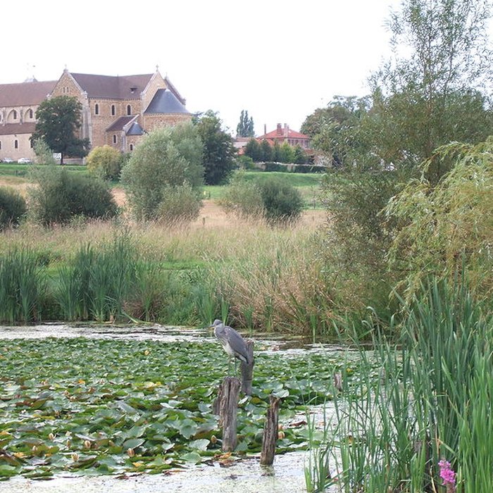Photo de Basilique Notre-Dame-de-Bonne-Garde de Longpont-sur-Orge